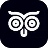 FX1336539618